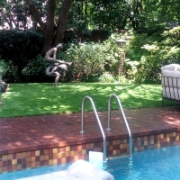 Synthetic Grass Rancho Cordova, California Landscaping Business, Backyards