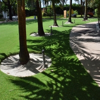 Synthetic Grass Taft Mosswood, California Cat Playground, Commercial Landscape