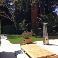 Synthetic Lawn Campbell, California Roof Top, Backyard Landscaping