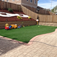 Synthetic Lawn Shackelford, California Indoor Playground, Backyard Designs