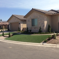 Synthetic Turf Newman, California Design Ideas, Front Yard Landscaping Ideas
