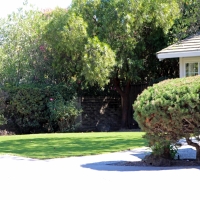 Turf Grass River Pines, California Lawn And Garden, Front Yard Landscaping Ideas