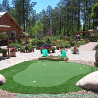 Turf Grass West Sacramento, California Golf Green, Backyard Landscape Ideas