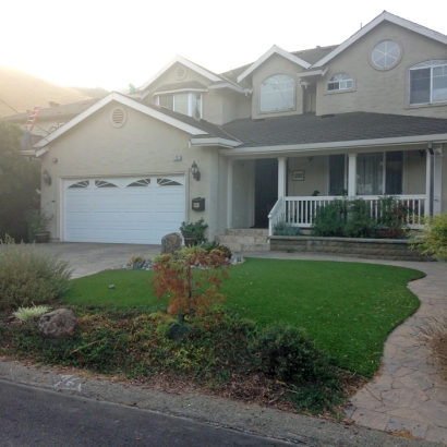 Artificial Grass Carpet Bethel Island, California Roof Top, Front Yard