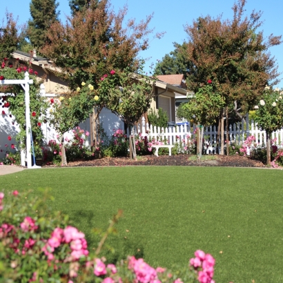 Artificial Grass Carpet Franklin, California Gardeners, Front Yard Landscaping Ideas