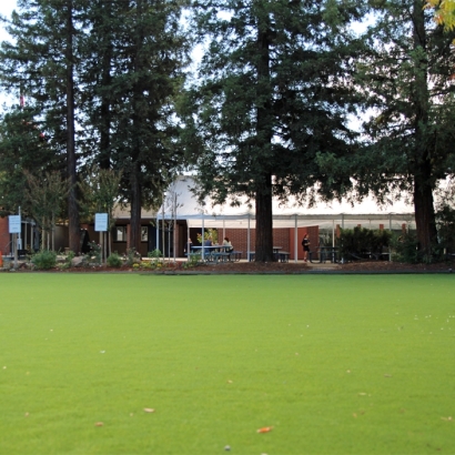 Artificial Grass Carpet Knightsen, California Lawn And Garden, Parks