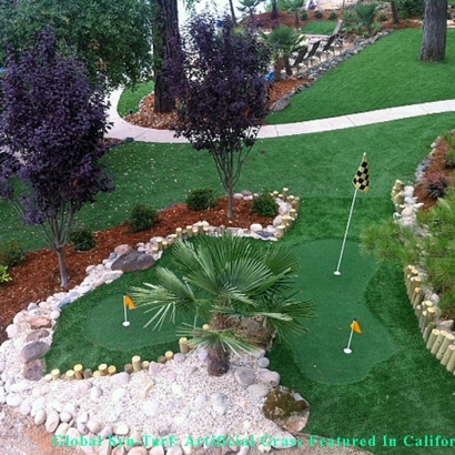 Artificial Grass Carpet Sacramento, California Backyard Playground, Small Backyard Ideas