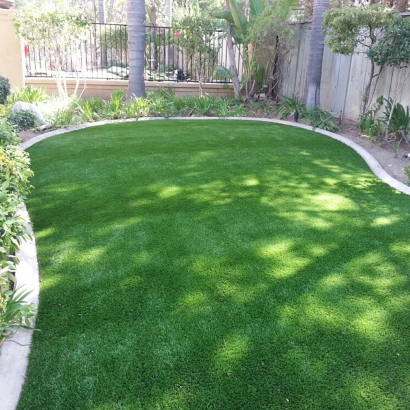 Artificial Grass Carpet Sunol, California Landscaping Business