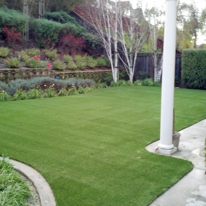 Artificial Grass Cobb, California Landscape Design, Backyard Ideas