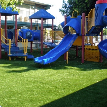 Artificial Grass Colusa, California Backyard Playground, Commercial Landscape