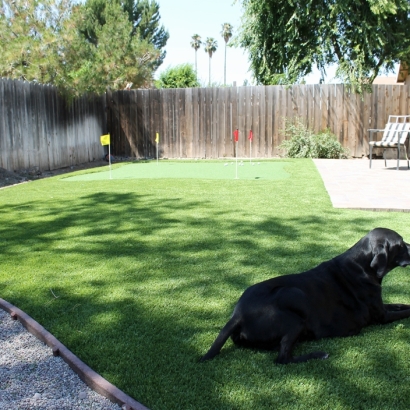 Artificial Grass Cotati, California Lawn And Landscape, Backyard Landscaping Ideas
