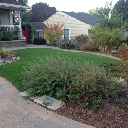 Artificial Grass Country Club, California Roof Top, Front Yard Landscape Ideas