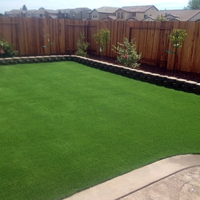 Artificial Grass Herald, California Landscape Photos, Backyard Landscape Ideas