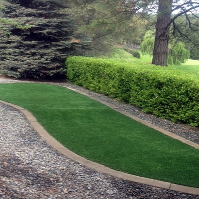 Artificial Grass Installation Wheatland, California Design Ideas