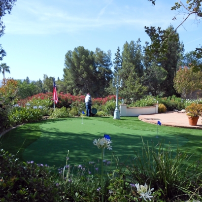 Artificial Grass Mill Valley, California Lawn And Landscape, Backyard Landscaping