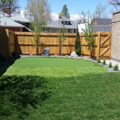 Artificial Grass River Pines, California Garden Ideas, Backyard Design