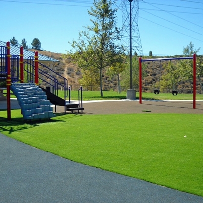 Artificial Grass Wallace, California Home And Garden, Parks