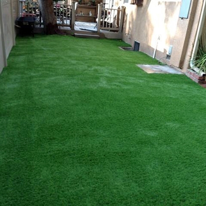 Artificial Lawn August, California Garden Ideas, Backyards