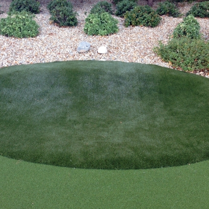 Artificial Lawn Calpine, California Office Putting Green