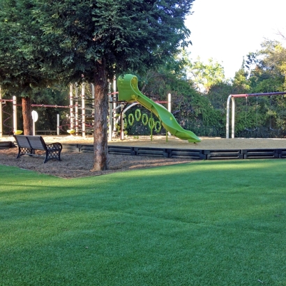 Artificial Lawn Farmington, California Landscape Photos, Parks