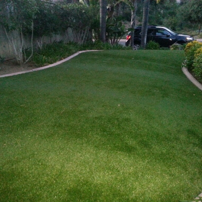 Artificial Lawn Mill Valley, California Home And Garden, Front Yard Landscape Ideas