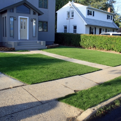Artificial Lawn Thornton, California Landscape Photos, Front Yard Landscaping