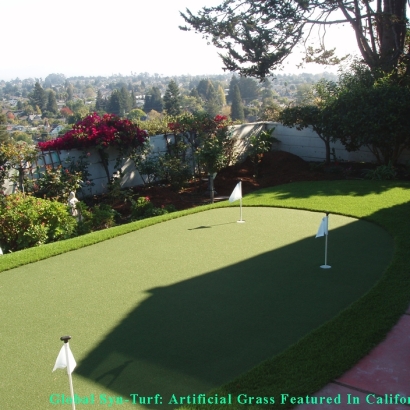 Artificial Turf Carmichael, California Putting Green Grass, Backyard Design