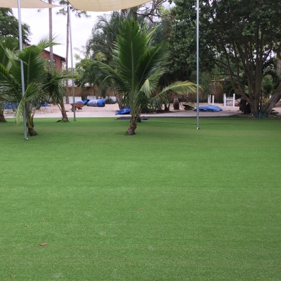 Artificial Turf Cost Belvedere, California Lawns, Commercial Landscape