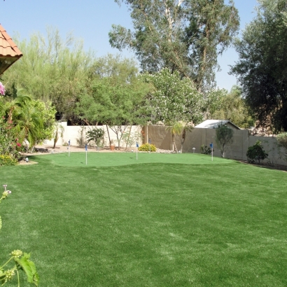 Artificial Turf Cost Calistoga, California Lawns, Backyard Ideas