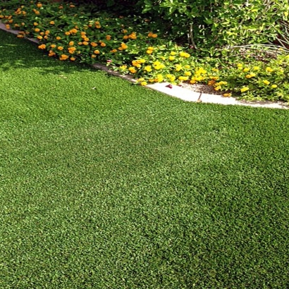 Artificial Turf Cost El Dorado Hills, California Roof Top, Front Yard Landscape Ideas