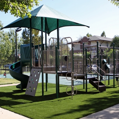 Artificial Turf Cost Mokelumne Hill, California Lacrosse Playground, Parks