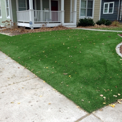 Artificial Turf Coulterville, California Backyard Deck Ideas, Front Yard Landscape Ideas