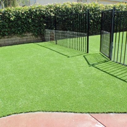 Artificial Turf Escalon, California Fake Grass For Dogs, Front Yard Landscape Ideas