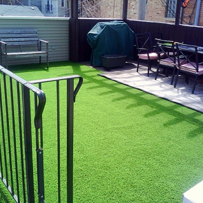 Artificial Turf Installation Arbuckle, California Hotel For Dogs, Backyard Makeover