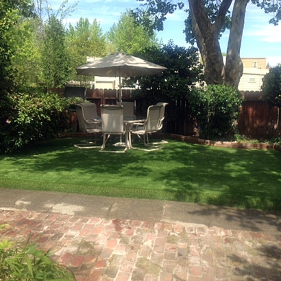Artificial Turf Installation Isleton, California Design Ideas, Backyard