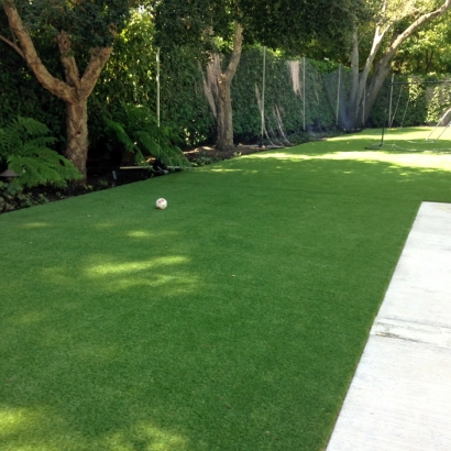 Artificial Turf Installation Johnsville, California Watch Dogs