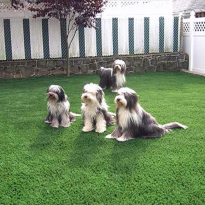 Artificial Turf Installation Kings Beach, California Lawns, Backyard Design