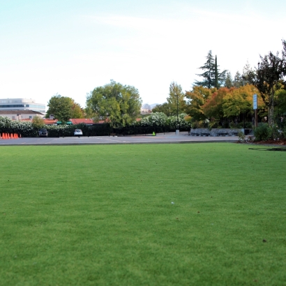 Artificial Turf Installation North Fair Oaks, California Landscape Photos