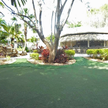 Artificial Turf Installation Pine Grove, California Backyard Putting Green, Commercial Landscape