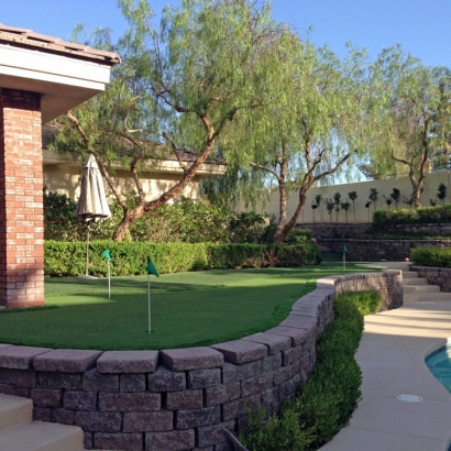 Artificial Turf Princeton, California Backyard Playground, Front Yard Ideas