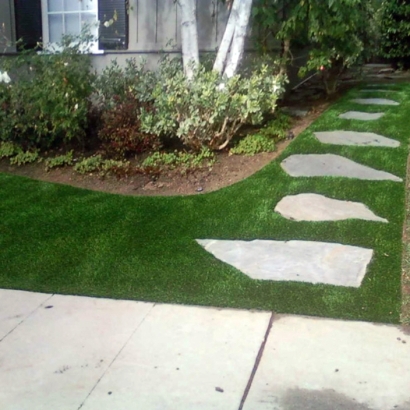 Artificial Turf Robbins, California Landscape Ideas, Landscaping Ideas For Front Yard