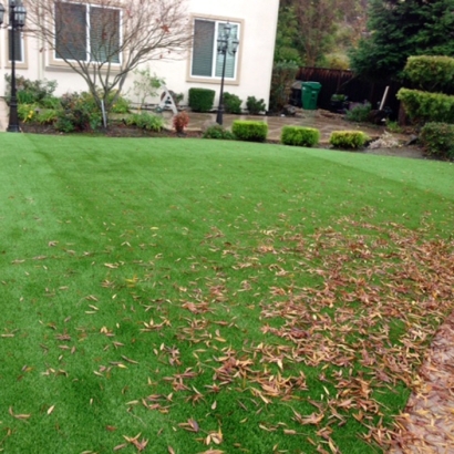 Best Artificial Grass Auburn, California Landscaping, Backyard Garden Ideas