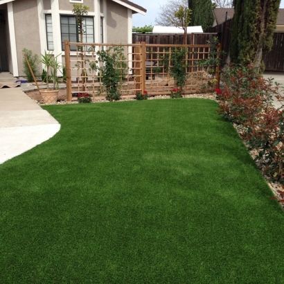 Best Artificial Grass Columbia, California Landscaping, Front Yard Landscaping Ideas