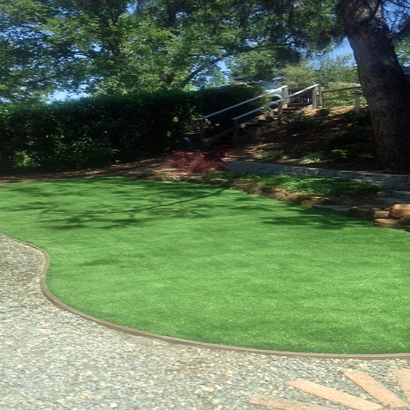 Best Artificial Grass Newcastle, California Landscape Photos, Backyard