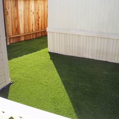 Best Artificial Grass Rough and Ready, California Drainage, Backyard Design