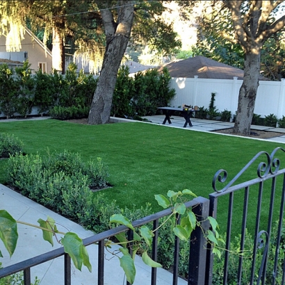 Best Artificial Grass Rutherford, California Backyard Playground, Front Yard Landscape Ideas