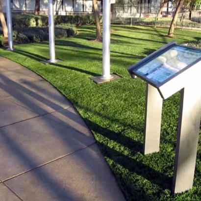 Fake Grass Carpet Auburn Lake Trails, California Paver Patio, Parks
