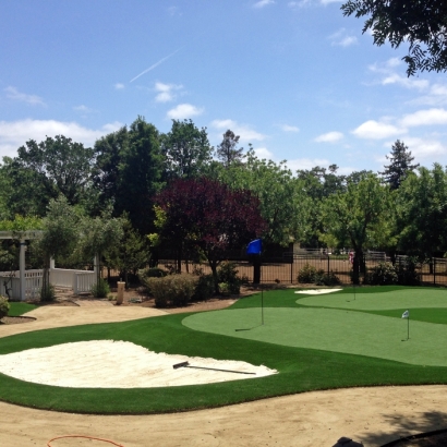Fake Grass Carpet Brentwood, California Putting Green Grass, Small Front Yard Landscaping