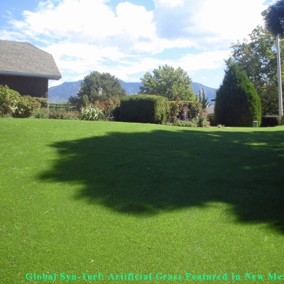 Fake Grass Carpet Florin, California Drainage, Backyard Landscaping