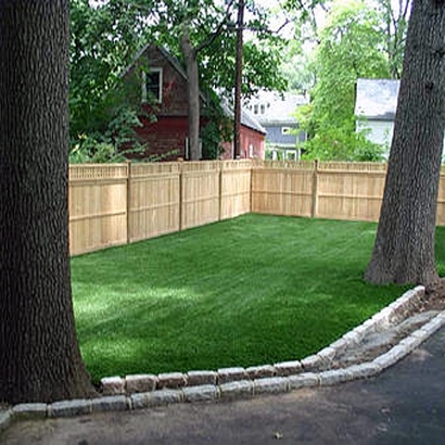 Fake Grass Carpet Graton, California Cat Grass, Small Backyard Ideas